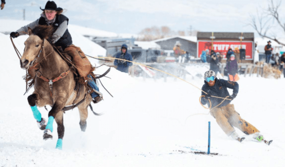skijoring in the winter with horses