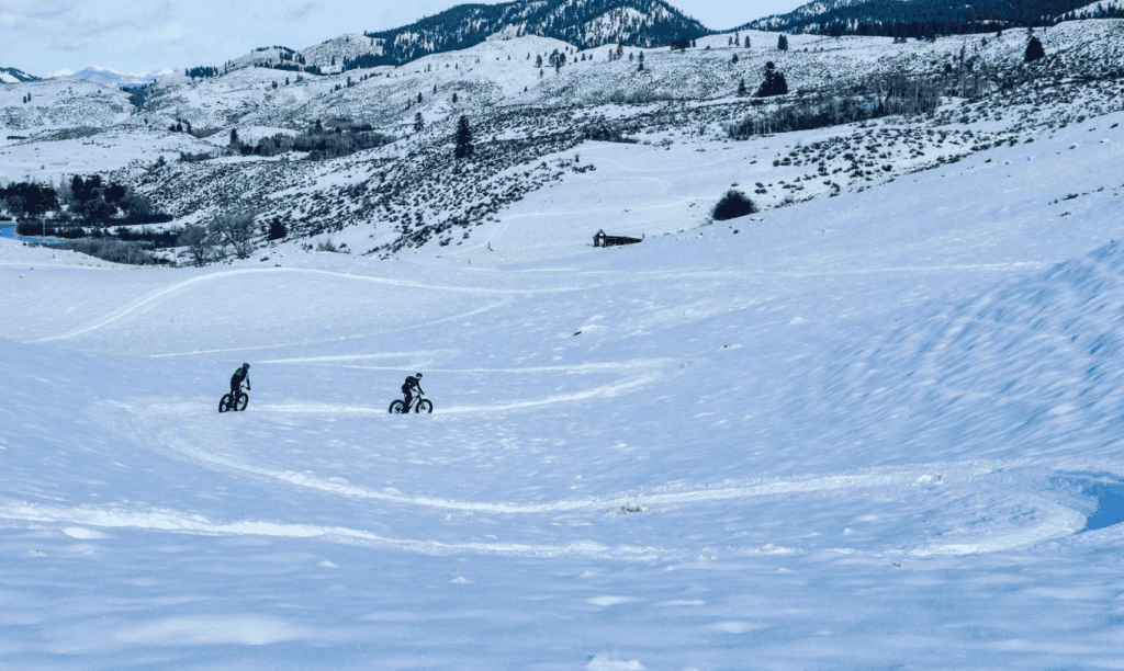 People riding Fat bikes on snow trail