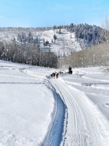 Snow groomed trails for god sledders..