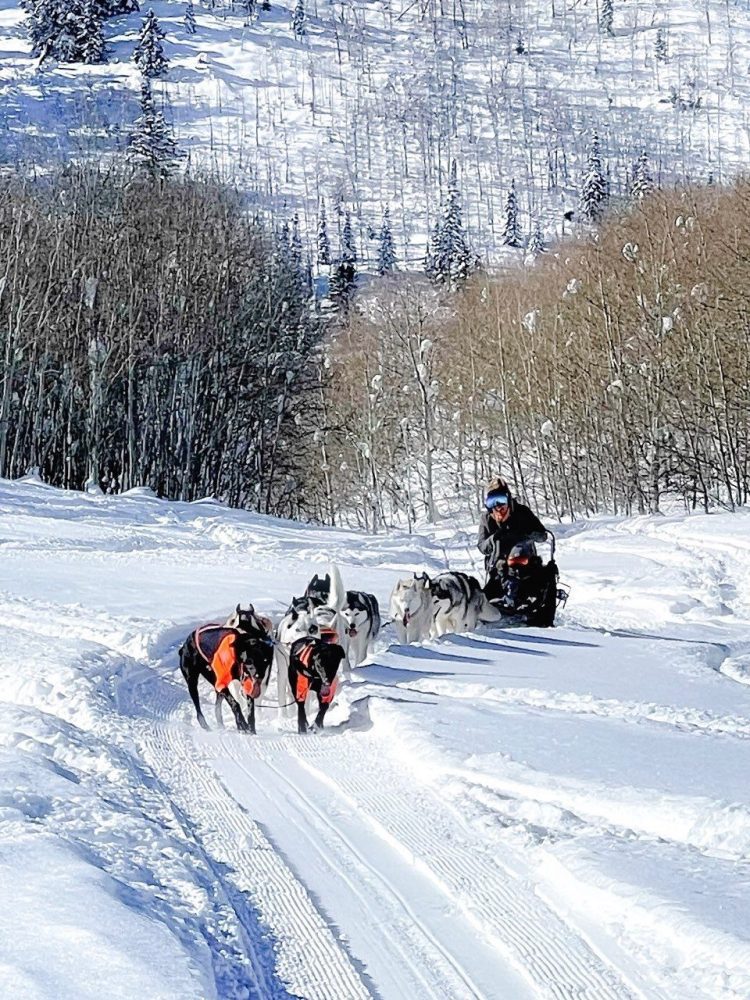 powder snow groomed to nice dog sledding trail